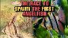 A Fish The Price Of A New Car Angelfish A History In The Aquarium Hobby U0026 The Race To Spawn Them