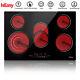 Iseasy Electric Ceramic/induction Hob Black, 2-4 Zone, Buit-in, Timer, Touch Control